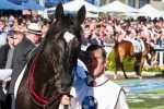 Dandino Out Of Caulfield Cup