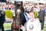 Melbourne Cup The Sole Spring Target For Dandino Melbourne Cup The Sole Spring Target For Dandino