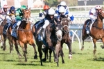 Fawkner’s Melbourne Cup Odds Continue To Tumble
