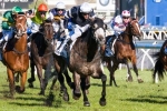 16 Internationals In Caulfield Cup First Acceptances