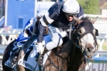 Fawkner’s next run could be the Cox Plate
