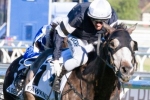 Pether’s Moon to head down under for Caulfield Cup Pether’s Moon to head down under for Caulfield Cup