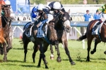 Waller and Williams Dominate Local Melbourne Cup Nominations
