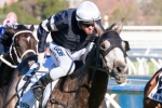 Pick the 2013 Melbourne Cup Winner Pick the 2013 Melbourne Cup Winner