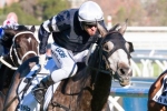 2013 Caulfield Cup won by Fawkner for Lloyd Williams