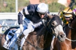 Melbourne Cup Form: Fawkner’s Form is the best