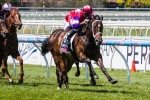 Hucklebuck To Return To Melbourne For CS Hayes Stakes