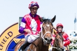 Hucklebuck on the rise for the C S Hayes Stakes