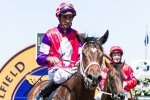 Hucklebuck on the rise for the C S Hayes Stakes Hucklebuck on the rise for the C S Hayes Stakes