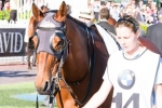 Mr O’Ceirin can wrap up Winter Carnival with Caloundra Cup win Mr O’Ceirin can wrap up Winter Carnival with Caloundra Cup win