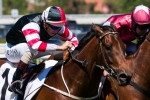 Bowman in good Caulfield Cup form with win on Polanski