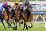 Red Tracer Chasing Second Group 1 Win In The Myer Classic