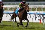 2014 Vinery Stud Stakes Tips: Beirne Happy To Ignore Favourites 2014 Vinery Stud Stakes Tips: Beirne Happy To Ignore Favourites