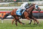 A Time For Julia Gets Her Chance In 2014 Sir Rupert Clarke Stakes