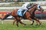 A Time For Julia Gets Her Chance In 2014 Sir Rupert Clarke Stakes A Time For Julia Gets Her Chance In 2014 Sir Rupert Clarke Stakes