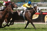 Al Aneed To Return In All Victorian Sprint Series