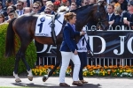 2013 Melbourne Cup Betting: Verema Finds Support 2013 Melbourne Cup Betting: Verema Finds Support