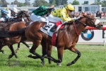 Internationals Receive Cox Plate Invite Internationals Receive Cox Plate Invite