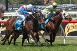 Electric Fusion Confirmed For 2013 Queensland Derby