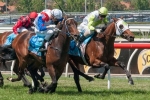 Gelagotis fined $2000, Hvasstan loses Alister Clark Stakes