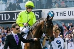 Jakkalberry Out Of Melbourne Cup Jakkalberry Out Of Melbourne Cup
