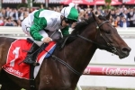Thinkin’ Big to run in 2018 Melbourne Cup if he wins Victoria Derby