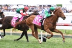 Kiwia off to the Bendigo Cup after Coongy Cup win
