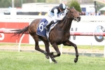 Pinot has to beat odds on Aloisia to give Gai first VRC Oaks