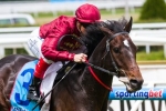 Caravan Rolls On gets 1.5kgs Melbourne Cup penalty Caravan Rolls On gets 1.5kgs Melbourne Cup penalty