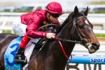 Melbourne Cup hopefuls to line in Lexus Stakes