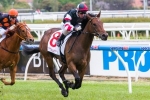 Eloping Included In Blue Diamond Preview Final Field