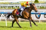 Lankan Rupee Ready To Win First-Up In The Rubiton Stakes