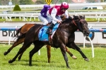 Paximadia to head to Dubai after Sandown Guineas win Paximadia to head to Dubai after Sandown Guineas win