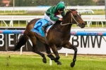 Edwards Expecting Improvement From Sertorius In The BMW Stakes
