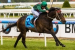 Edwards Delighted With Sertorius Ahead Of Turnbull Stakes Edwards Delighted With Sertorius Ahead Of Turnbull Stakes
