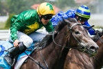 Girl In Flight On Track For Australasian Oaks Girl In Flight On Track For Australasian Oaks