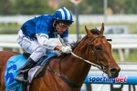 Mick Price Duo On Track For 2014 Magic Millions Test