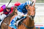 Nordic Empire in doubt for 2014 Magic Millions 2yo Classic