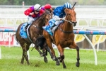 Nordic Empire Officially Scratched From Magic Millions Classic