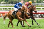 Price Unearths Another Caulfield Guineas Contender