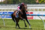 Lord Of The Sky Wins Barrier Trial In Impressive Fashion Lord Of The Sky Wins Barrier Trial In Impressive Fashion