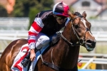Lord Of The Sky on trial for Oakleigh Plate Lord Of The Sky on trial for Oakleigh Plate