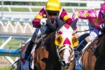 Marden A Late Entry For 2014 Perth Cup