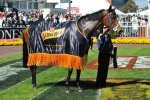 Atlantic Jewel Confirmed For Memsie Stakes Atlantic Jewel Confirmed For Memsie Stakes