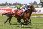 Ollivander’s 2yo Program to be clearer after Blue Diamond Preview
