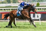 Undeniably To Have Final Start For Kavanagh In Doveton Stakes Undeniably To Have Final Start For Kavanagh In Doveton Stakes