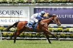 Barrier 1 an advantage for Hell Of An Effort in Ladbrokes Blue Diamond Stakes