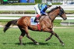 Maher Delighted Moudre Gets Chance At Two Miles In Sandown Cup Maher Delighted Moudre Gets Chance At Two Miles In Sandown Cup