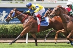 River Lad on Expressway to Stradbroke Handicap River Lad on Expressway to Stradbroke Handicap