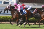 Denarius aimed towards the Queensland Guineas Denarius aimed towards the Queensland Guineas
